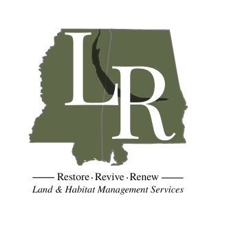 Land Revival